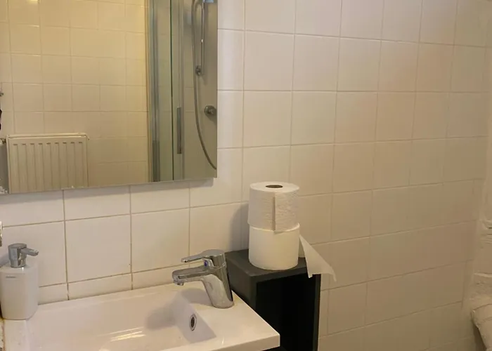 Near Linz Ii Daire *